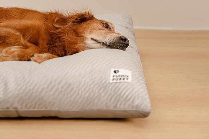 FUNNY FUZZY Washable Dog Bed,Reversible Plush Dog Crate Mat, Soft Fluffy Kennel Pad,Pet Sleeping Mattress for Jumbo,X-Large Sized Dogs Breeds,2XL,48"× 31",Light Grey-PawvioPets