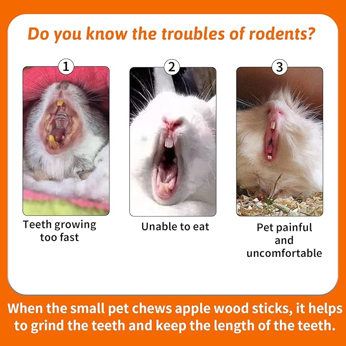 Fhiny 12 PCS Guinea Pigs Chew Toys, Natural Apple Branch Seagrass Molar Sticks for Teeth Bunny Chew Toys Cage Accessories for Guinea Pigs Rabbit Bunny Hamster Chinchilla-PawvioPets