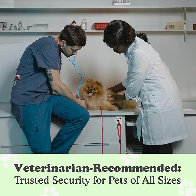 Canine Hitch- Secure Dog Leash Parking Mounted Indoor – Outdoor Wall Hook - Tie Out Stainless Steel Practical Lead Management for Home & Business, Ultimate Strength 2 Pack-PawvioPets