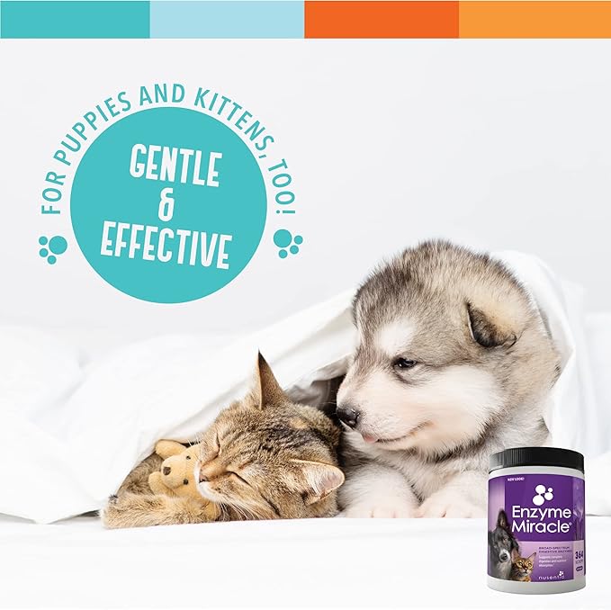 Digestive Enzymes for Dogs & Cats : Protein, Carbs, Starches & Fats Digestion : Supports Diet Change : Enzyme Miracle (364 Scoops, Powder)-PawvioPets