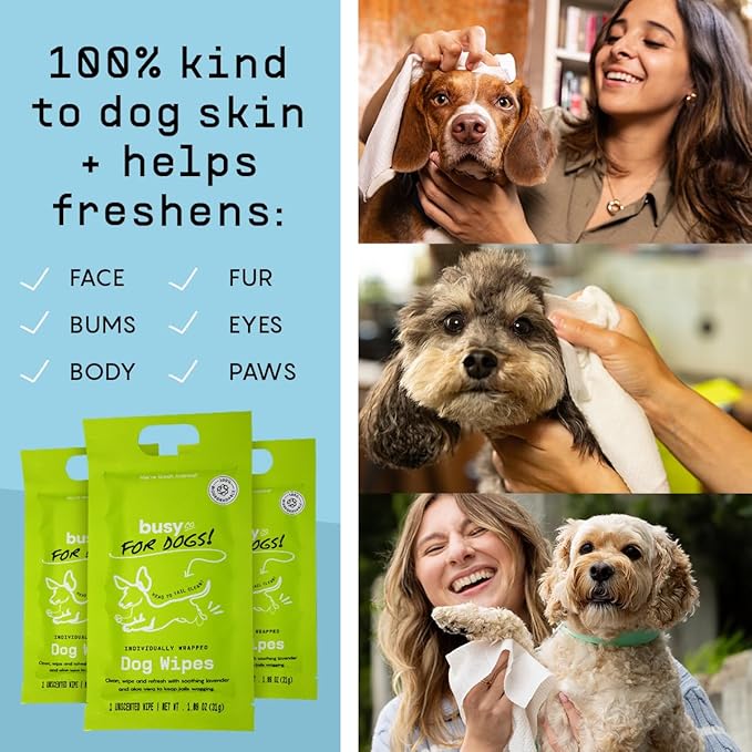 Busy Co. - Hypoallergenic Dog Wipes, Cleaning and Odor Control Grooming Wipes for Paws, Body, and Butt, Perfect for Puppy and Adult Dogs, Individually Wrapped, Unscented (Unscented, 20 Grooming Wipes)-PawvioPets