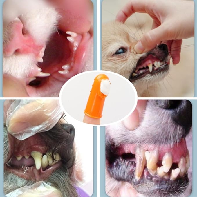 4 Pack Pet Tooth Brushing Kit – Extra Soft Finger Toothbrushes for Cats & Dogs Gentle Plaque & Tartar Removal, Freshens Breath Pain-Free Teeth Cleaning for Small to Large Pets-PawvioPets