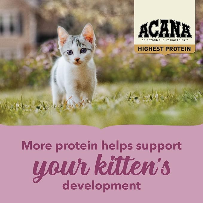 ACANA Highest Protein Dry Cat Food Kitten Recipe 4lb Bag-PawvioPets