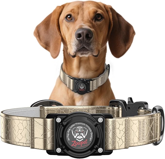 Airtag Dog Collar - Leather Dog Collar with Airtag Holder| IP68 Waterproof AirTag Holder with Metal Buckle, Comfortable GPS Dog Collars Tracker for Medium Large Dogs (Champagne Gold, XL)-PawvioPets