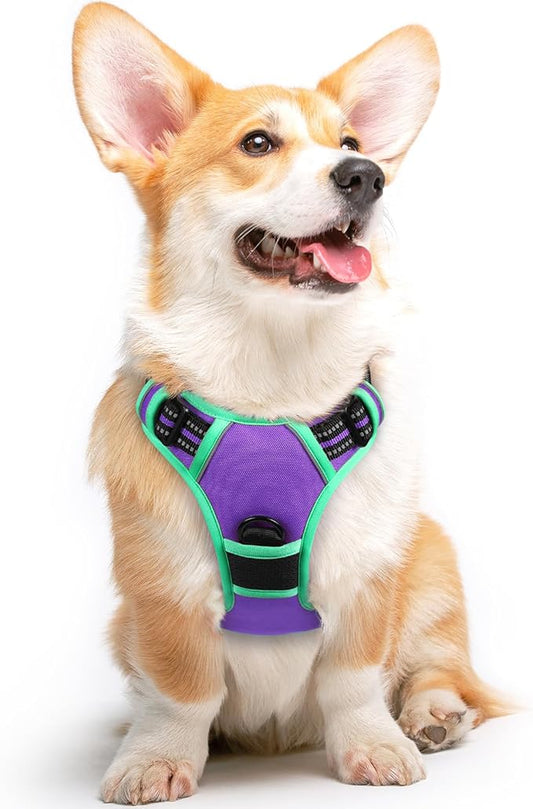 Eagloo Dog Harness for Large Dogs, No Pull Service Vest with Reflective Strips and Control Handle, Adjustable and Comfortable for Walking, No Choke Harness with 2 Metal Rings, Purple & Green, M-PawvioPets