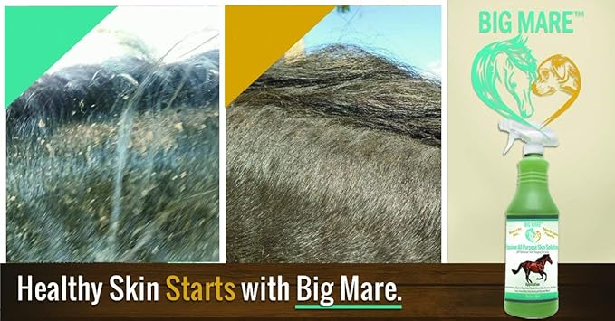 All Purpose Horse Skin & Wound Care 32oz | First Aid: for Girth Itch, Insect & Fly Bites, Crud, Itchy Manes & Tails & Hair Loss | Vet Approved & Recommended-PawvioPets