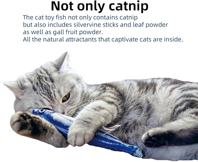 6 PCS Cat Fish Toy Soft and Durable,Cat nip Toy with Catnip Inside, Kicker Toys for Indoor Kitten Exercise,Kitty Teething Chew Toy (6 Sauries)-PawvioPets