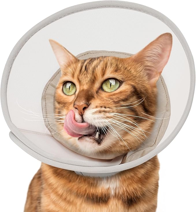 Cat Cone Collar Soft: Comfortable Waterproof Mesh Recovery Cone After Surgery to Stop Licking and Scratch, Alternative to Plastic Elizabeth Head/Neck Cone-PawvioPets
