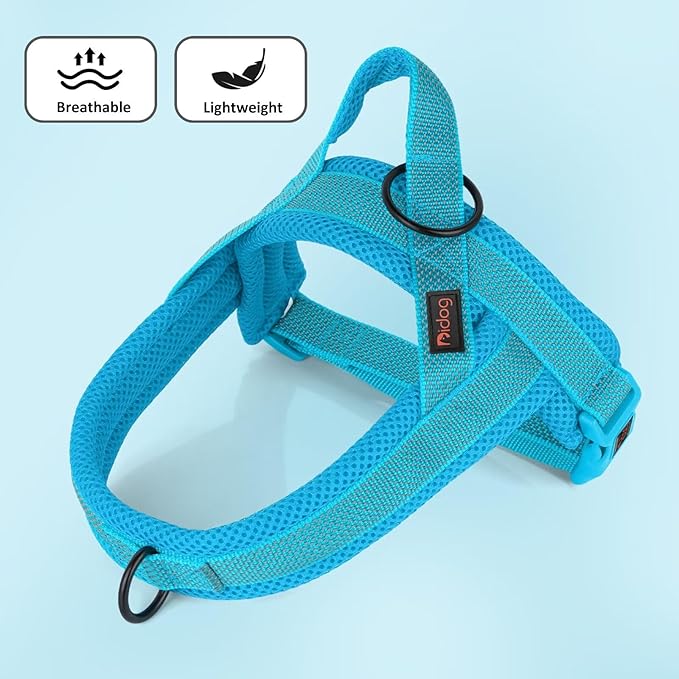 Didog No Pull Dog Harness with Breathable Mesh Padded, Full Reflective & Quick Fit Adjustable Vest Harness, Easy for Training Walking for Small & Medium and Large Dogs (Blue, S:Chest 18-22")-PawvioPets