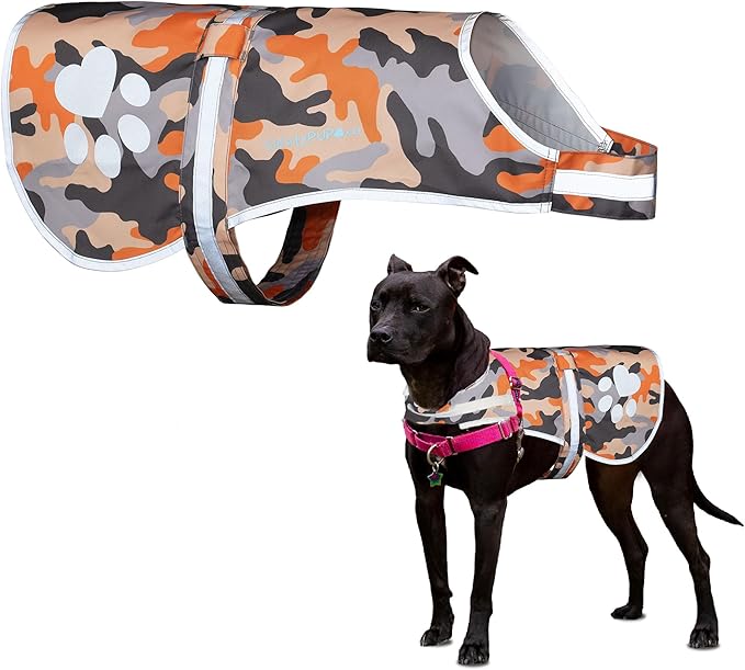 Dog Reflective Vest – Hi-Vis Fluorescent Visibility That Helps to Safeguard Your Pet On/Off Leash in Urban & Rural Areas (Camo, Small)-PawvioPets