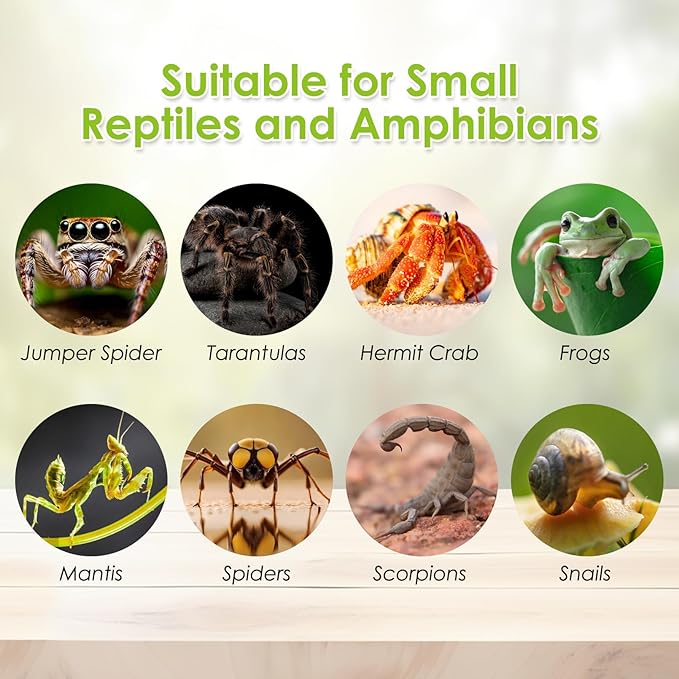 Acrylic Reptile Terrarium Enclosure 9.8" x 5.9" x 5.9" Magnetic Tarantula Breeding Box Transparent Insect Habitat for Jumping Spider Hermit Crab Lizard Sling Isopods Horned Frog Snake Gecko-PawvioPets