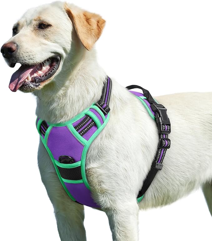 Eagloo Dog Harness for Large Dogs, No Pull Service Vest with Reflective Strips and Control Handle, Adjustable and Comfortable for Walking, No Choke Pet Harness with 2 Metal Rings, Purple & Green, L-PawvioPets