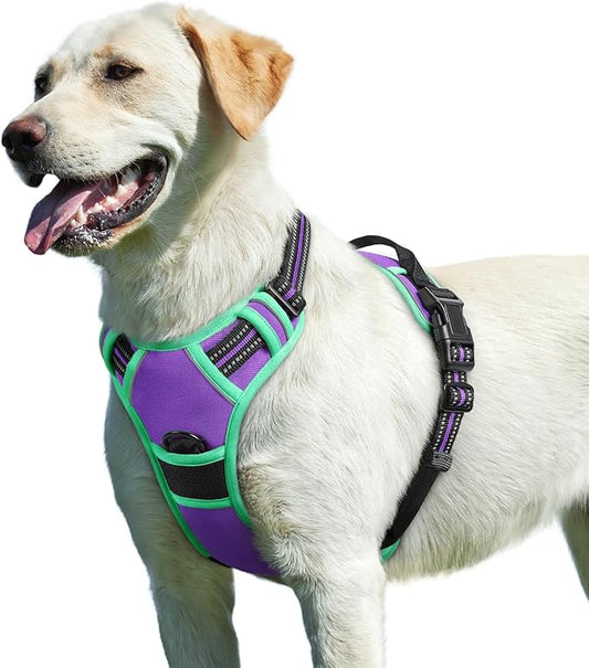 Eagloo Dog Harness for Large Dogs, No Pull Service Vest with Reflective Strips and Control Handle, Adjustable and Comfortable for Walking, No Choke Pet Harness with 2 Metal Rings, Purple & Green, L-PawvioPets