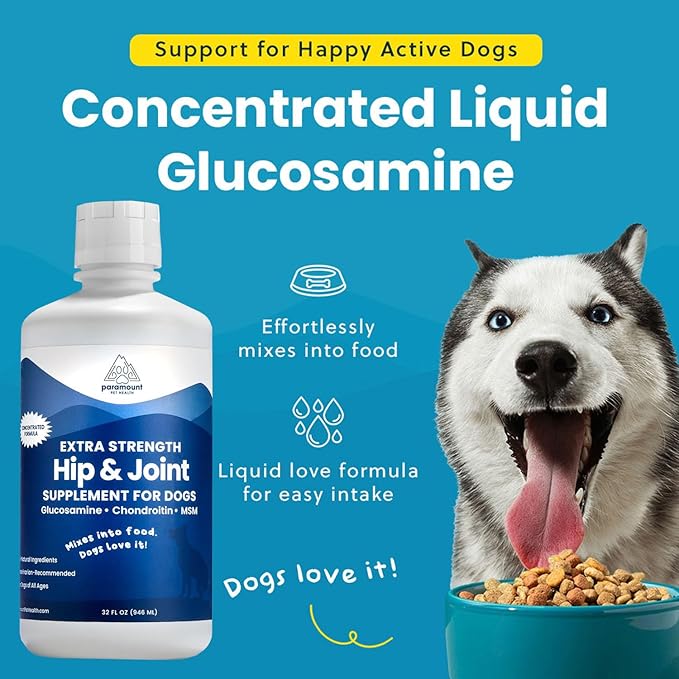 Concentrated Liquid Glucosamine for Large Dogs, Infused with MSM, 5200mg Chondroitin & Glucosamine Liquid for Dogs Hip & Joint Supplement for Mobility & Comfort, 32 oz-PawvioPets