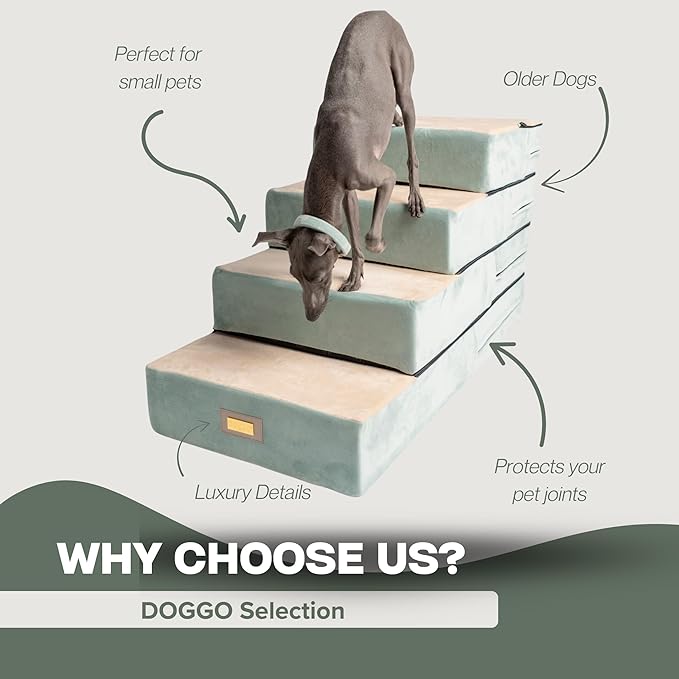 All-in-One Adjustable Dog Stairs – 5-Step Premium Pet Ramp for Small to Large Dogs – Sturdy, Non-Slip & Versatile for Beds, Sofas & More - Soft Cover, Modern Design (Green)-PawvioPets