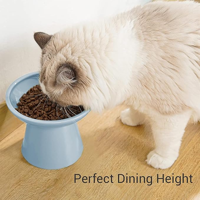 Extra Wide Elevated Ceramic Cat Food Bowl - 6.2" Shallow Dish for Whisker Fatigue Relief, 5" Height for Easy Feeding, Lead & Cadmium Free, Durable Raised Cat Food Bowls, Blue-PawvioPets