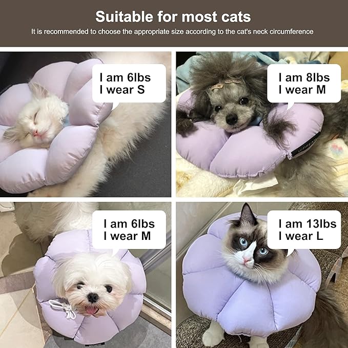 Cat Cone Collar,Cute Waterproof Cat Recovery Collar,Anti-Bite Lick Wound Healing Safety Elizabethan e Collar for Cats,Purple Flower All-Season Style…-PawvioPets