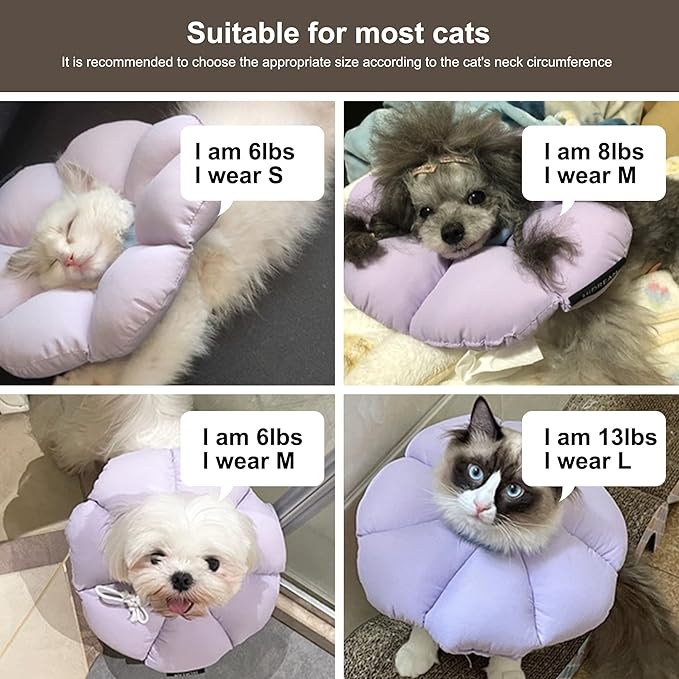 Cat Cone Collar,Cute Waterproof Cat Recovery Collar,Anti-Bite Lick Wound Healing Safety Elizabethan e Collar for Cats,Purple Flower All-Season Style…-PawvioPets