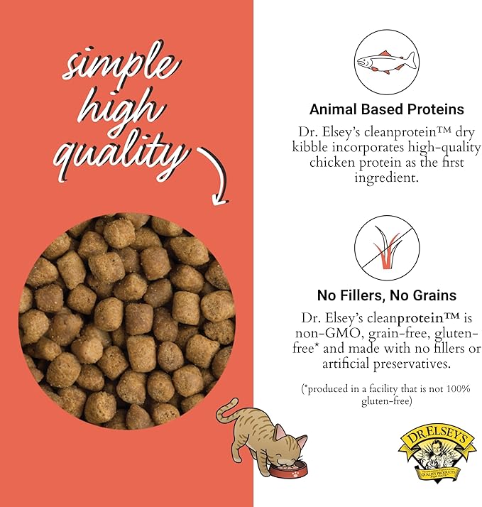 Dr. Elsey'S Cleanprotein Salmon Formula Dry Cat Food, 2 Pound (Pack of 1)-PawvioPets