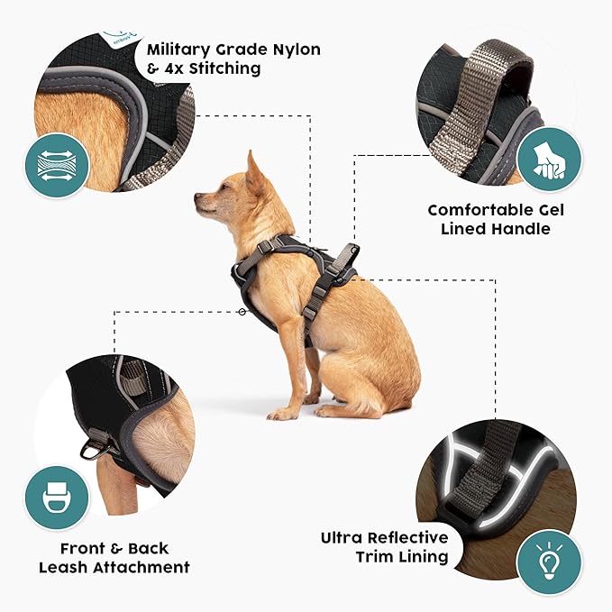 Embark Adventure Dog Harness, No-Pull Reflective Trim Dog Harness for Small, Medium & Large Dogs - Military Grade Nylon, 2 Leash Clips & Gel Lined Handle. Soft & Padded Puppy Dog Vest for Any Breed-PawvioPets