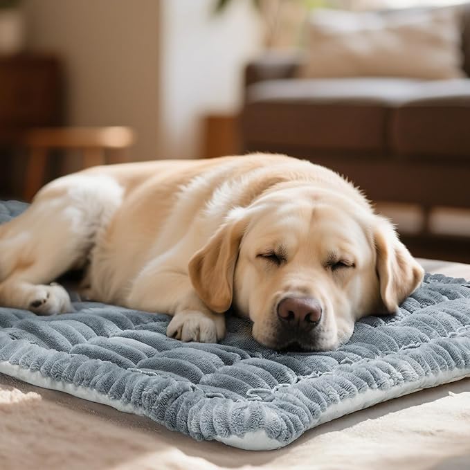 Dog Bed Mat for Car Back Seat Extenders, Washable Non-Slip Travel Cover for Back Seat - 24.8"x54", Grey-PawvioPets