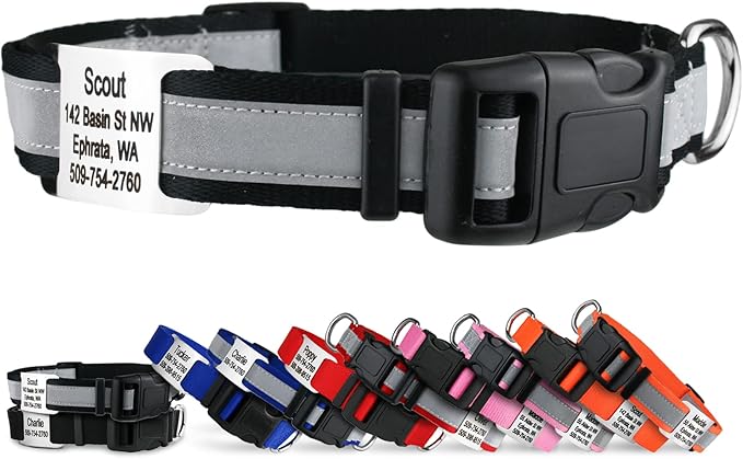 GoTags Reflective Personalized Dog Collar with Nameplate, Adjustable Dog Collar with Custom Engraved Steel Slide On Pet ID Tag, Silent, No Noise Dog Tag for Large Medium or Small (Black, Small)-PawvioPets