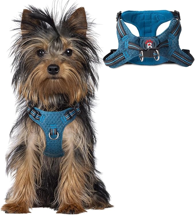 BARKBAY Dog Harness, Reflective Adjustable Step-in Vest Harness, Blue/Black, XXS-PawvioPets