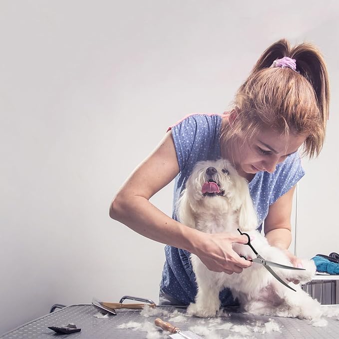 Dragon Creek 7" Upward Curved Dog Grooming Scissors - Safety Shears for Face & Paws Trimming - Black-PawvioPets