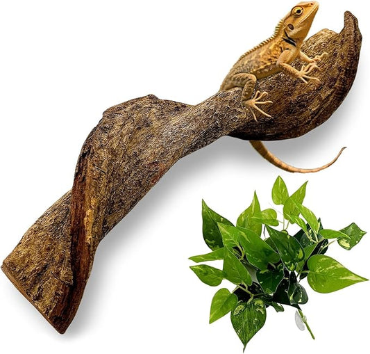 BNOSDM Reptile Climbing Branches Decor,Snake Climbing Branch,Gecko Climb Wood,Lizard Forest Branch,Tank Habitat Tree Trunk Decorations for Bearded Dragons,Chameleons,Spider,Frogs (XL)-PawvioPets