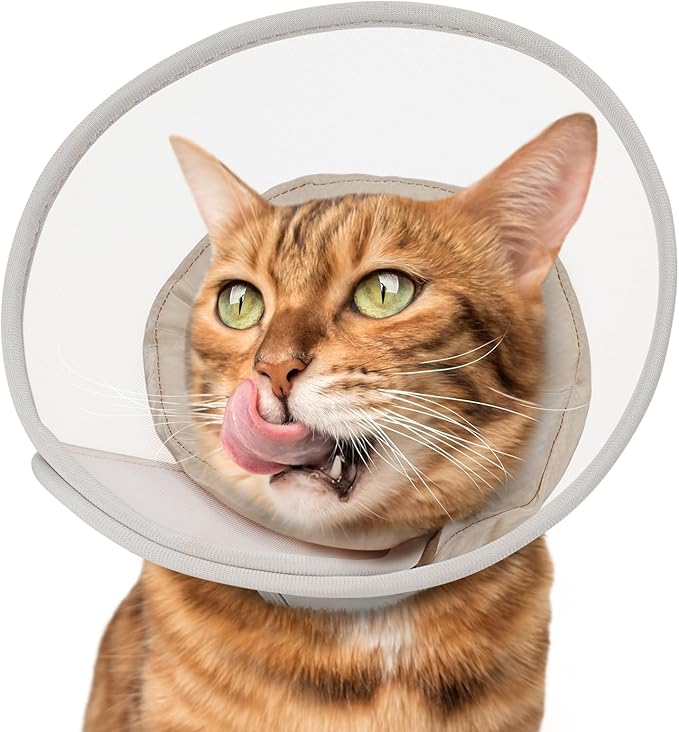 Cat Cone Collar Soft: Comfortable Waterproof Mesh Recovery Cone After Surgery to Stop Licking and Scratch, Alternative to Plastic Elizabeth Head/Neck Cone-PawvioPets