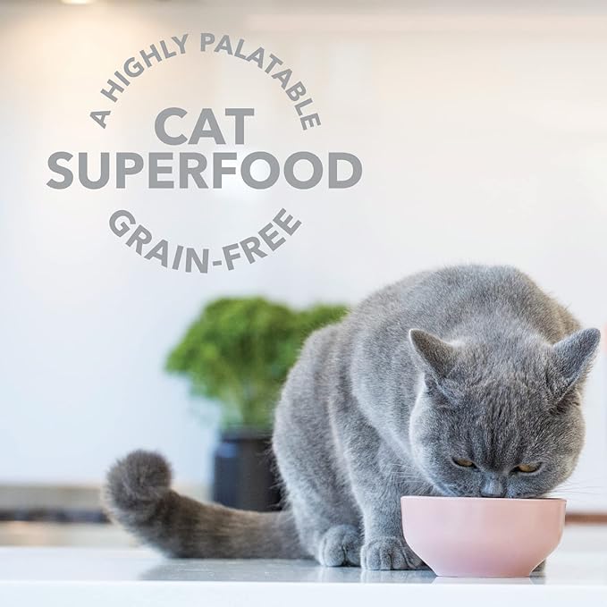 Feline Natural Freeze Dried Lamb Green Tripe Cat Food Supplement - Grain-Free High Protein Natural Topper - 2 Oz Grass Fed Beef Freeze Dried Cat Treats-PawvioPets