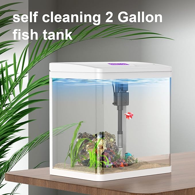 2 Gallon Glass Betta Fish Tank，Small Fish Tank with Filter and Light,Self-Cleaning Fish Tank.-PawvioPets