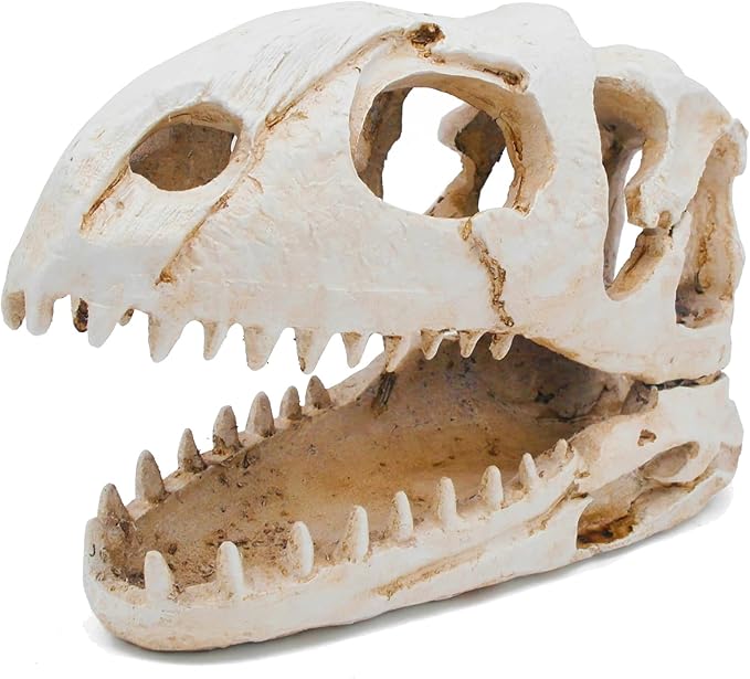 Dinosaur Animal Skull Aquarium Large Décor Cave Decorations Fish Hideout Tank Betta Tarantula Reptile Snake for Terrarium Decor Ornament Bones Halloween-PawvioPets