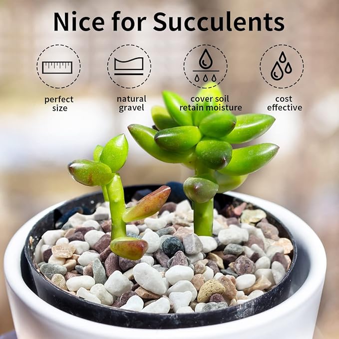 2 lbs Natural Mixed Color Pea Gravel Pebbles, 3/8 inch Decorative Rocks for Succulents, Pebbles for Indoor Plants, Vases, Aquarium Gravel, Top Dressing, Outdoor Decorative Stones-PawvioPets