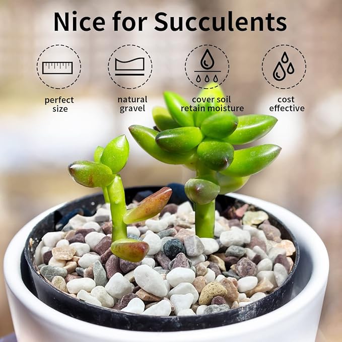 5 lbs Natural Mixed Color Gravel Pebbles, 3/8 Inch Decorative Succulent Rocks Pebbles for Plants, Stones for Vase, Landscaping and Outdoor Garden Decorative River Rock-PawvioPets