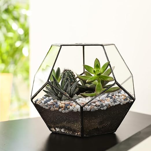 5 lbs Small Rocks for Plants, 1/5 Inch Pebbles for Indoor Plants, Natural Decorative Pea Gravel for Aquarium, Fish Tank, Terrarium, Succulents, Bamboo Plants, Vases, Cactus, Crafts-PawvioPets