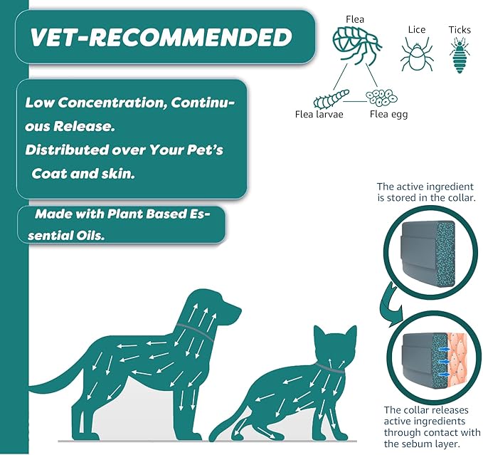Flea and Tick Collar for Small Dog, Made with Natural Plant Based Essential Oil, Safe and Waterproof, Free Comb and Prevention Treatment Drop, 2x6 Month, 13.8 in (2 Packs)-PawvioPets