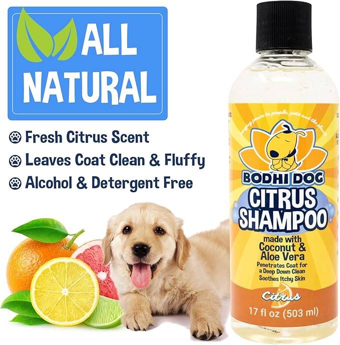 Bodhi Dog Refreshing Orange Citrus Shampoo - Deep Cleaning Coconut & Aloe Formula - Natural Soothing, Moisturizing Pet Wash for Dogs, Cats, Puppies - Tear-Free (17 Fl Oz)-PawvioPets