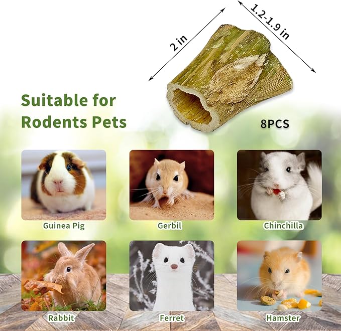 Fhiny Rabbit Chew Toys, 8 PCS 2" Natural Papaya Wood Chew Sticks Guinea Pig Treats for Dental Care Bunny Treats for Rabbits Small Pet Molar Snacks for Bunny Guinea Pig Chinchilla Hamster Gerbil-PawvioPets