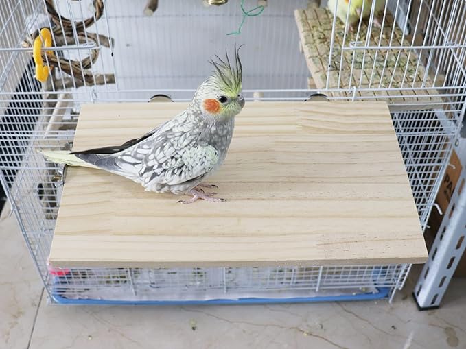 13.6×7.9 Inches Large Bird Perch Stand Platform, Natural Wooden Small Animals Cage Accessories, Rectangle Stand Perch Shelf for Parrot Parakeet Cockatiel Rat Hamster Guinea Pig Conure Chinchillas-PawvioPets