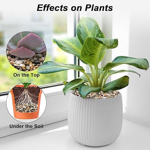 Decorative Rocks for Potted Plants,Virekm River Rocks, Decorative Ornamental Pebbles,Garden Landscaping Stones Gravel Filler for Home Decoration Flower Bed Fish Tank Plants Vases Succulents (5 Pounds)-PawvioPets