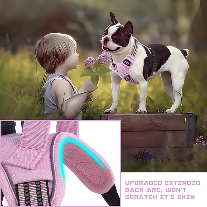 BUMBIN Dog Harness for Large Dogs, No Pull Adjustable No Choke Pet Vest with Dog Leash Fit Smart Reflective Pet Walking Harness for Training Easy Control Soft Handle Pink M-PawvioPets