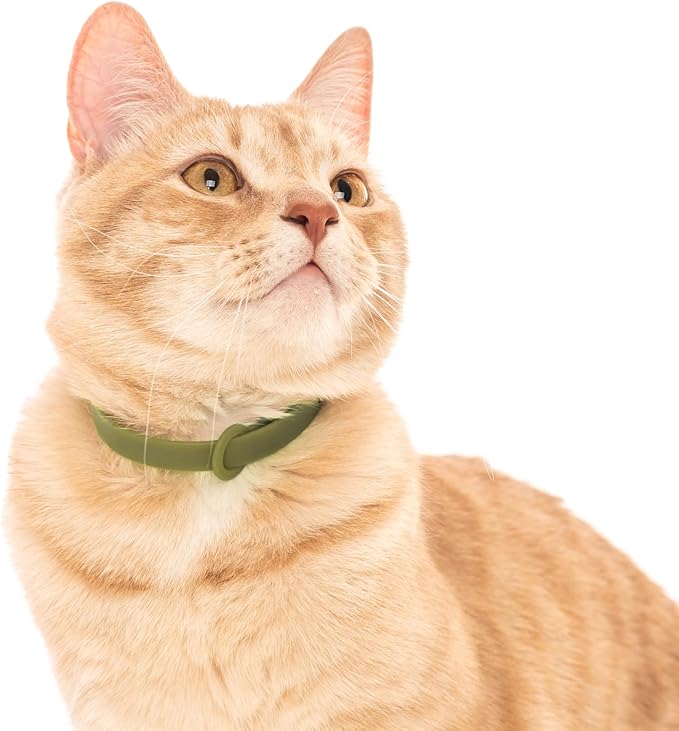 Breakaway Cat Collar - Soft, Comfortable, and Lightweight Safety Buckle Collar with Name Tag Ring for Outdoor Cats and Sensitive Skin Kittens by Nuvuq (6 ⅞" to 10 ¼", Green)-PawvioPets