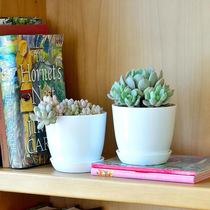 50 Pack 4 Inch Plant Pots Bulk Small Plastic Planters Pots with Drainage Holes Flower Pot for Succulent, Cactus, Herb, African Violet (50pcs-White, 4Inches)-PawvioPets