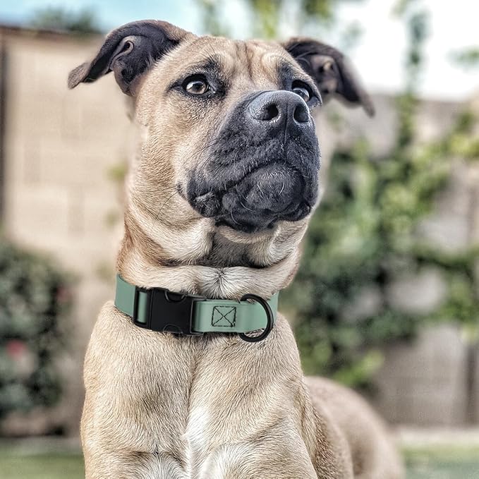 Dogline Biothane Waterproof Dog Collar with Quick Release Buckle Strong Coated Nylon Webbing with Odor- Proof for Easy Care Easy to Clean Fits Small Medium Large Dogs, Sage Green 5/8" W 9-14" L-PawvioPets