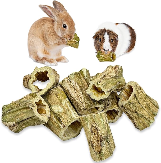 Fhiny Rabbit Chew Toys, 8 PCS 2" Natural Papaya Wood Chew Sticks Guinea Pig Treats for Dental Care Bunny Treats for Rabbits Small Pet Molar Snacks for Bunny Guinea Pig Chinchilla Hamster Gerbil-PawvioPets