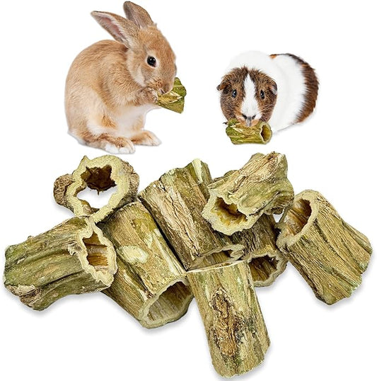 Fhiny Rabbit Chew Toys, 8 PCS 2" Natural Papaya Wood Chew Sticks Guinea Pig Treats for Dental Care Bunny Treats for Rabbits Small Pet Molar Snacks for Bunny Guinea Pig Chinchilla Hamster Gerbil-PawvioPets