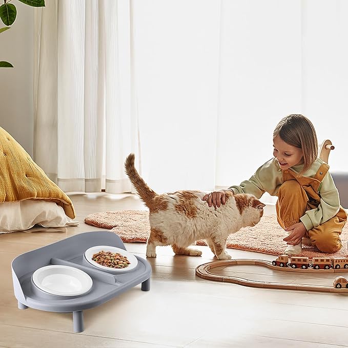 Elevated Cat Bowls, Tilted Rised Cat Food and Water Bowl with 2 Pcs Ceramic Pet Bowls, Rised Stand, Pet Dish Anti Vomiting Feeding Station for All Sized Cats & Small Dogs (Grey)-PawvioPets