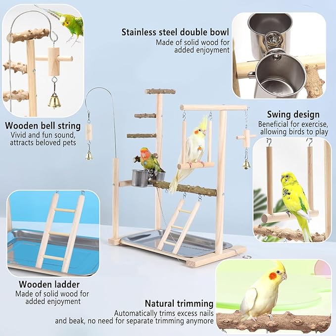 Bird Playground Parrot Playstand Bird Perch Stand Gym Natural Wood Play Stand with Swing Ladder Feeder Cups for Parakeets Cockatiels Lovebirds Conures Budgies-PawvioPets