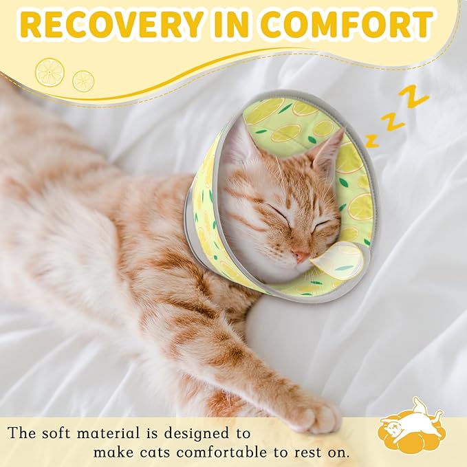 Cat Cone Collar Soft, Comfortable Cat Recovery Collar Pet Cone for Small Large Cats, Lightweight Elizabethan Collar for Cats Kittens After Surgery Prevent from Licking Wounds, Yellow, M-PawvioPets